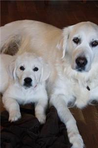 Mom and Baby Puppy Golden Retriever Dogs Pet Journal