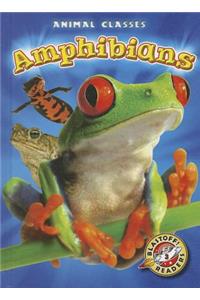 Amphibians