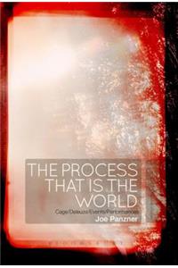 The Process That Is the World