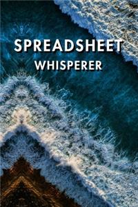 Spreadsheet Whisperer