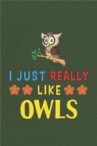 I Just Really Like Owls