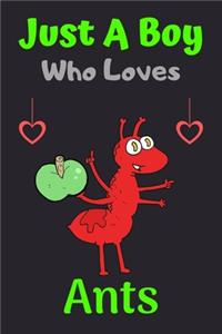 Just A Boy Who Loves Ants