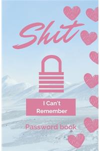 Shit I Can't Remember