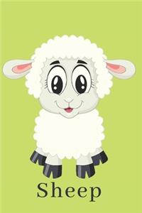 Sheep