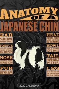 Anatomy Of A Japanese Chin