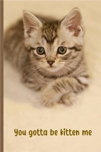 You Gotta Be Kitten Me