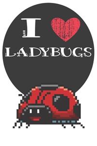 I Heart Ladybugs