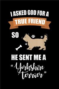 I asked god for a true friend so he sent me a 