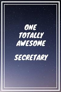 One Totally Awesome Secretary