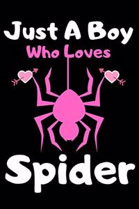 Just a boy who loves spider