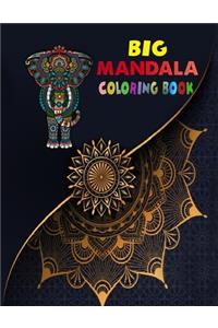 Big Mandala Coloring Book