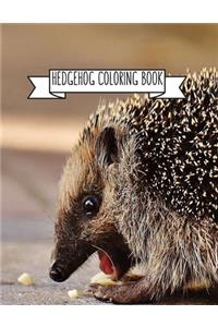 Hedgehog Coloring Book