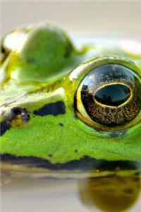 Frog Ripple in the Water Journal