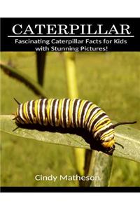 Caterpillar