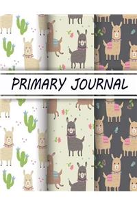 Primary Journal