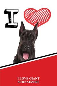 I Love Giant Schnauzers