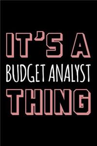 It's a Budget Analyst Thing