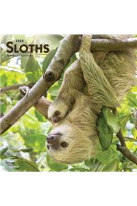 Sloths 2020 Square