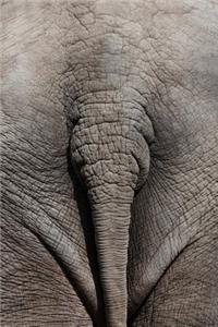 Kiss My Elephant Ass Journal