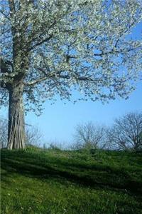 Cherry Tree Notebook