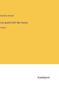 Les grand chef des Aucas