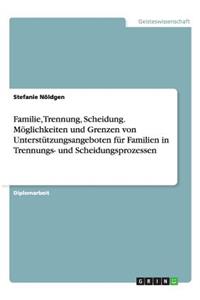 Familie, Trennung, Scheidung. Möglichkeiten und Grenzen von Unterstützungsangeboten für Familien in Trennungs- und Scheidungsprozessen