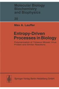 Entropy-Driven Processes in Biology