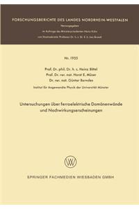 Untersuchungen über ferroelektrische Domänenwände und Nachwirkungserscheinungen