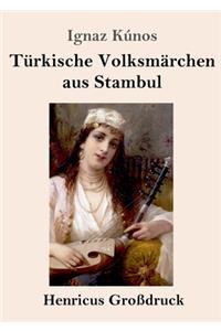 Türkische Volksmärchen aus Stambul (Großdruck)