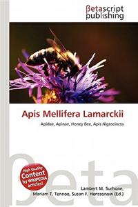 APIs Mellifera Lamarckii