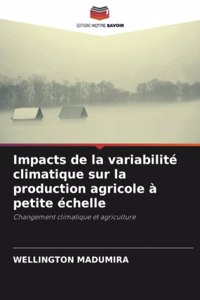 Impacts de la variabilité climatique sur la production agricole à petite échelle