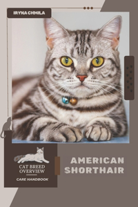 American Shorthair
