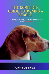 The Complete Guide to Owning a Beagle
