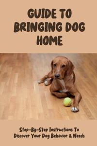 Guide To Bringing Dog Home