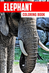 Elephant Coloring Book