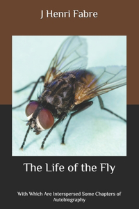 The Life of the Fly