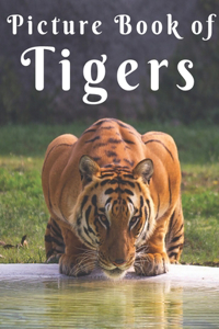 Picture Book of Tigers