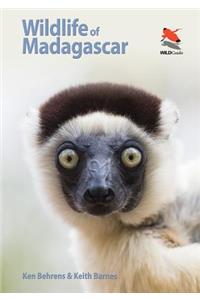 Wildlife of Madagascar