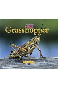 Grasshopper