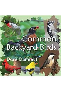 Common Backyard Birds