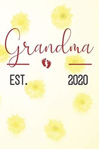 Grandma Est 2020: Funny Grandma Gift Ideas (Personalized Gigi Gifts under 10)