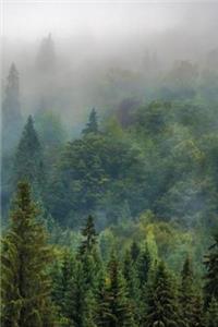 Premium I Forestry I Notebook