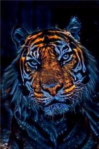 Cosmic Tiger Journal
