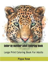 Color By Number Adult Coloring Book