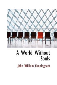 A World Without Souls