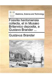 Fossilia Hantoniensia Collecta, Et in Musaeo Britannico Deposita, a Gustavo Brander ...