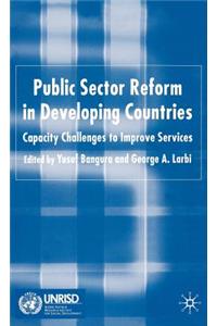 Public Sector Reform in Developing Countries