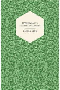 Dashenka or The Life of a Puppy