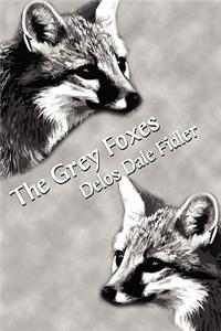 Grey Foxes