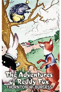 Adventures of Reddy Fox by Thornton Burgess, Fiction, Animals, Fantasy & Magic